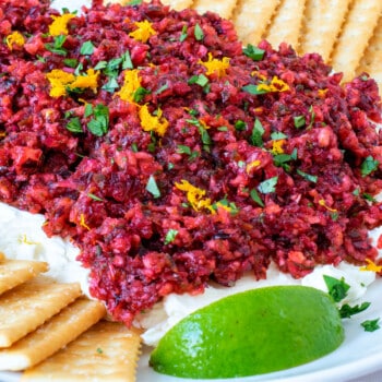 Cranberry Salsa - A Family Feast
