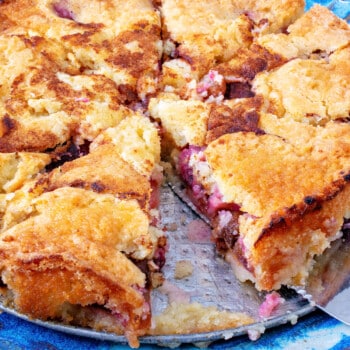 New York Times Purple Plum Torte - A Family Feast