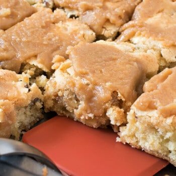 Apple Chunkies - A Family Feast