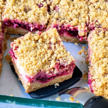 Oatmeal Cranberry Cheesecake Bars - A Family Feast