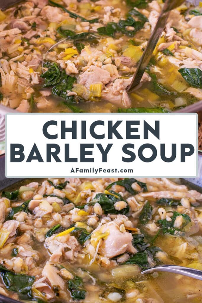 Chicken Barley Soup - A Family Feast